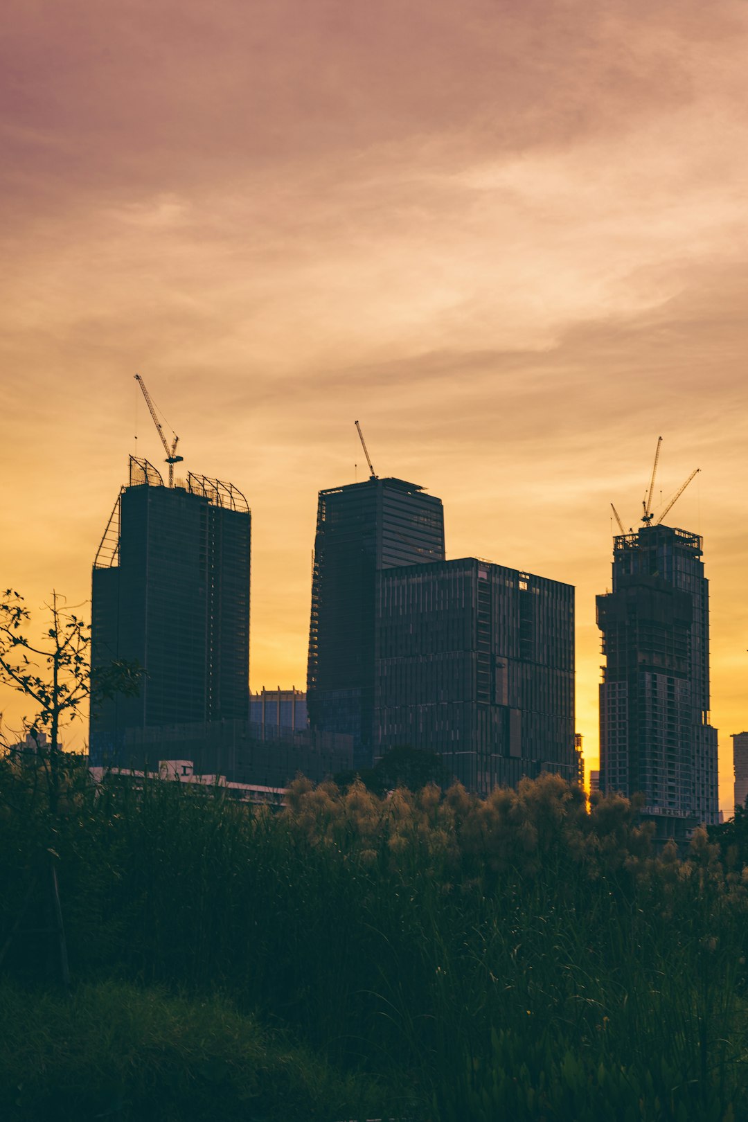 a-view-of-a-city-skyline-at-sunset-titlthfx-tm